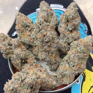 BUY BEAR DANCE CANNABIS ONLINE